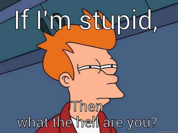 IF I'M STUPID, THEN WHAT THE HELL ARE YOU? Futurama Fry