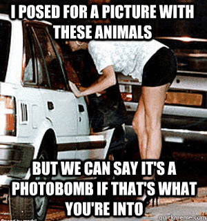 i posed for a picture with these animals But we can say it's a photobomb if that's what you're into  Karma Whore