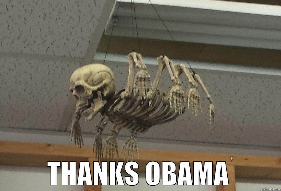  THANKS OBAMA Misc