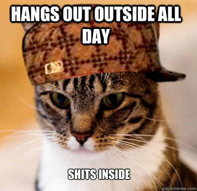 Hangs out outside all day Shits inside  Scumbag Cat