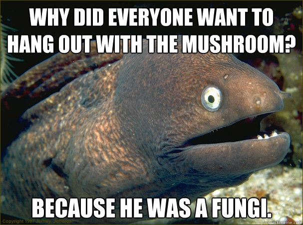Why did everyone want to hang out with the mushroom? Because he was a fungi.  Bad Joke Eel