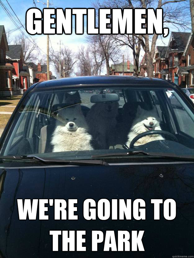 gentlemen, we're going to 
the park  Joy Ride