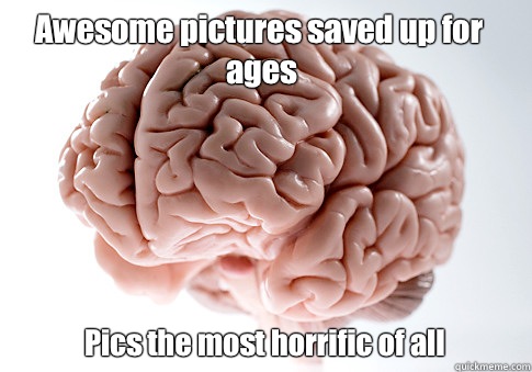 Awesome pictures saved up for ages Pics the most horrific of all   Scumbag Brain
