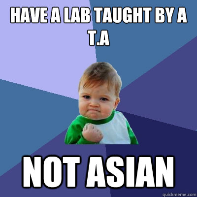 Have a lab taught by a T.A Not Asian  Success Kid