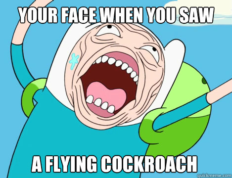 Your face when you saw A flying cockroach  Finn