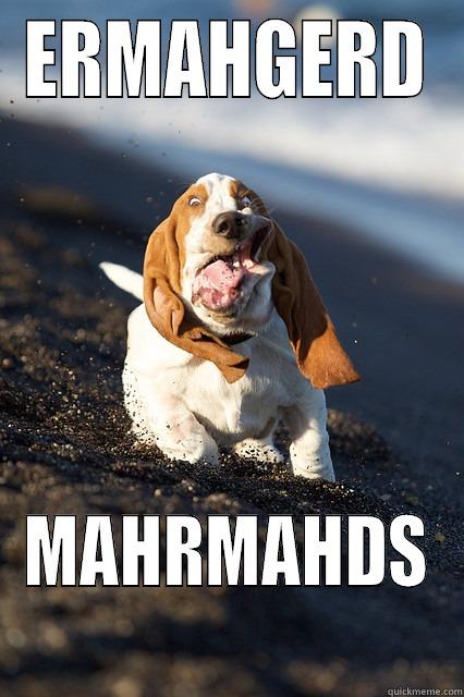 Derp dog goes to the beach - ERMAHGERD MAHRMAHDS Misc