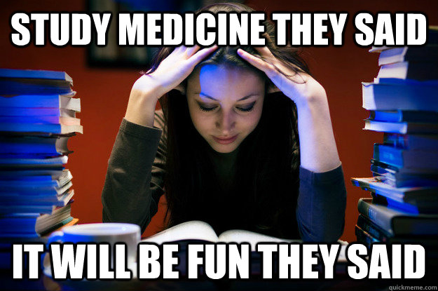 study medicine they said it will be fun they said - study medicine they said it will be fun they said  medicine meme