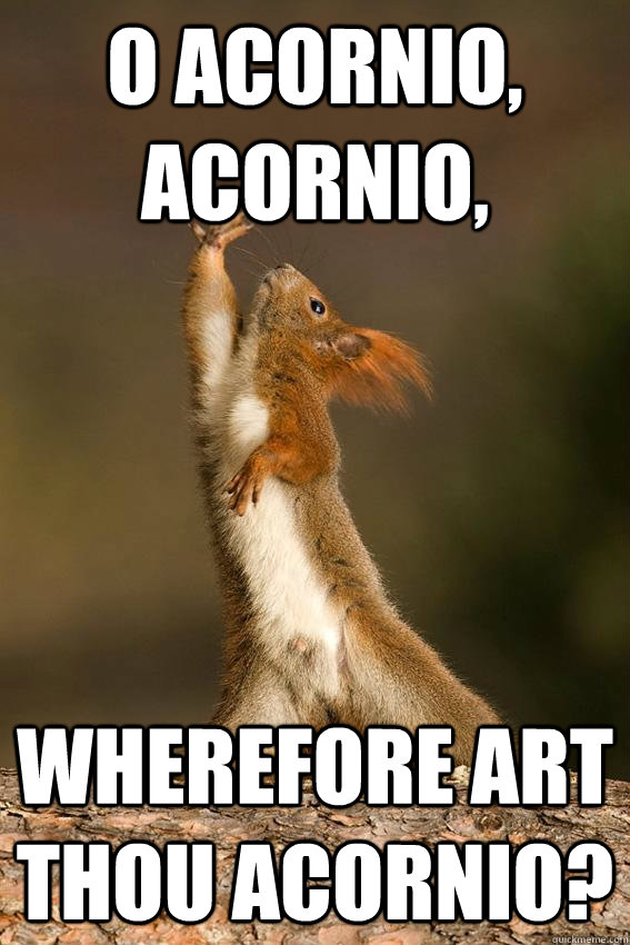 O Acornio, Acornio, wherefore art thou Acornio?  Shakespeare Squirrel