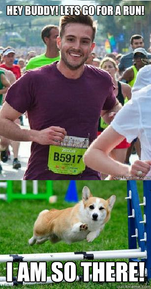 Hey Buddy! Lets go for a run! I am so there!  Ridiculous Attractiveness