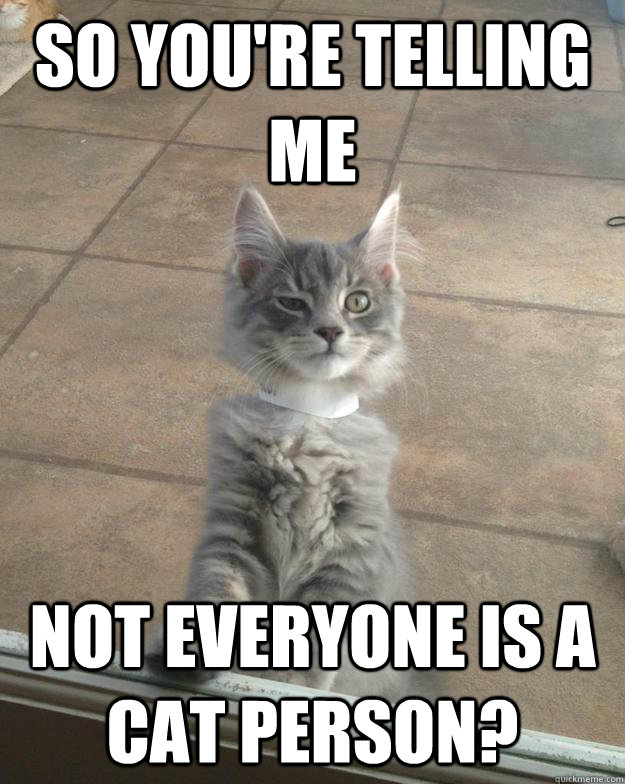 So you're telling me not everyone is a cat person?  Skeptic Cat