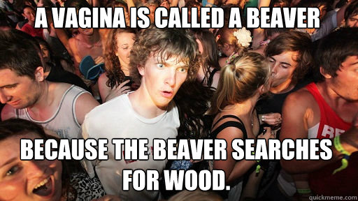 A vagina is called a beaver because the beaver searches for wood.  Sudden Clarity Clarence