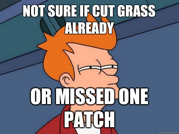 not sure if cut grass already or missed one patch  Futurama Fry