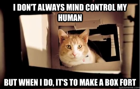 i don't always mind control my human but when i do, it's to make a box fort - i don't always mind control my human but when i do, it's to make a box fort  Rufus