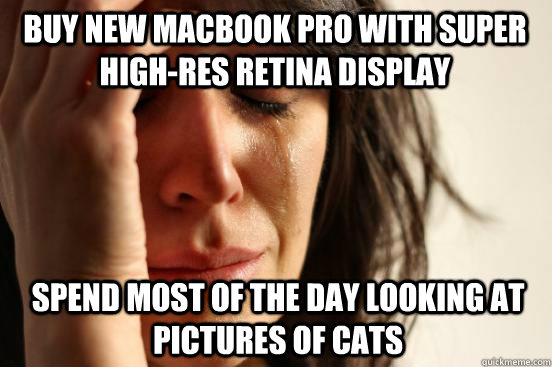 Buy new macbook pro with Super high-res retina display spend most of the day looking at pictures of cats  First World Problems