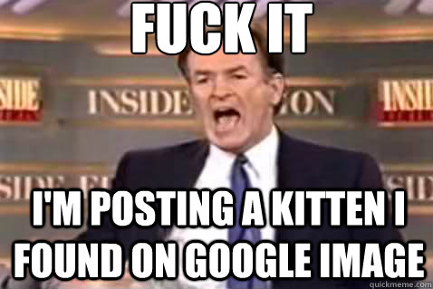 fuck it I'm posting a kitten I found on google image  Fuck It Bill OReilly