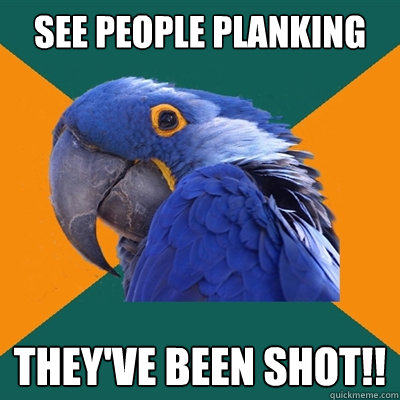 See people planking THEY'VE BEEN SHOT!!  Paranoid Parrot
