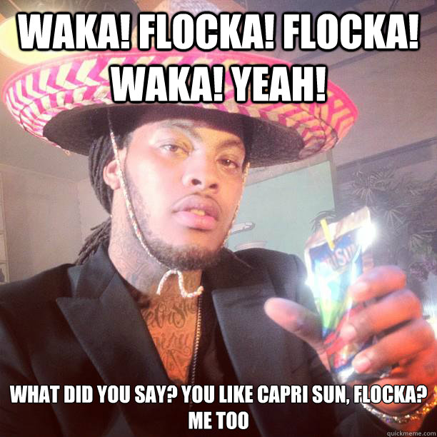 waka! Flocka! flocka! waka! Yeah! What did you say? You like capri sun, flocka? Me too - waka! Flocka! flocka! waka! Yeah! What did you say? You like capri sun, flocka? Me too  Flocka likes Capri Suns
