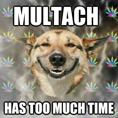 Multach has too much time  Stoner Dog