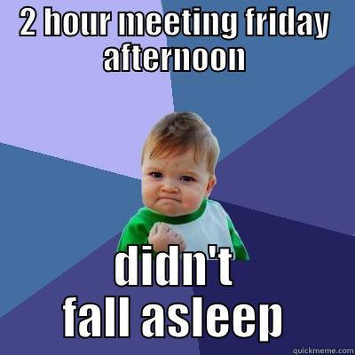 Made it through! - 2 HOUR MEETING FRIDAY AFTERNOON DIDN'T FALL ASLEEP Success Kid