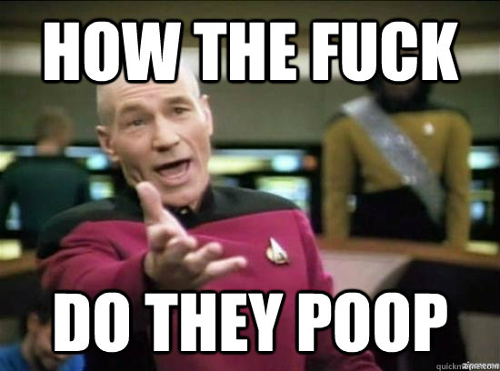 how THE FUCK do they poop  Annoyed Picard HD