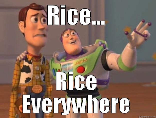 RICE... RICE EVERYWHERE Toy Story