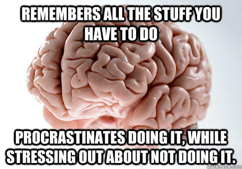 Remembers all the stuff you have to do Procrastinates doing it, while stressing out about not doing it. - Remembers all the stuff you have to do Procrastinates doing it, while stressing out about not doing it.  Scumbag Brain