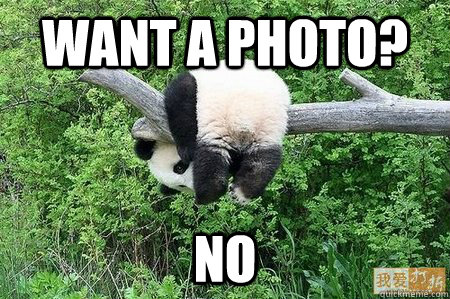 Want a photo? No  