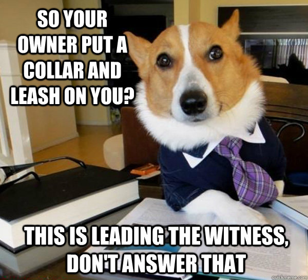 So your owner put a collar and leash on you? This is leading the witness, don't answer that  Lawyer Dog