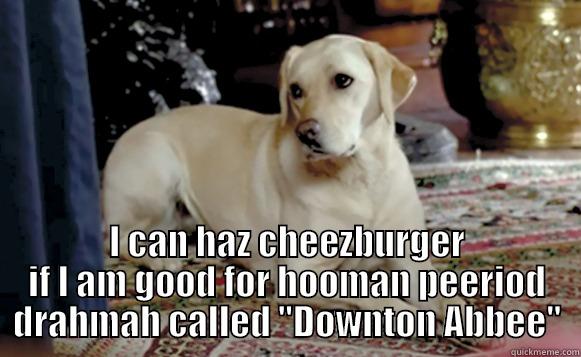  I CAN HAZ CHEEZBURGER IF I AM GOOD FOR HOOMAN PEERIOD DRAHMAH CALLED 