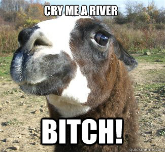 Cry me a river Bitch!  - Cry me a river Bitch!   Drama Llama