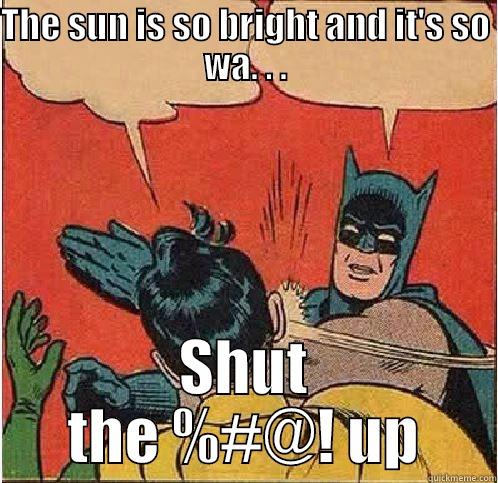 THE SUN IS SO BRIGHT AND IT'S SO WA. . . SHUT THE %#@! UP Batman Slapping Robin