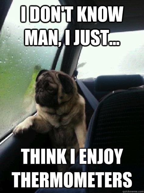 I don't know man, I just... think i enjoy thermometers   Introspective Pug