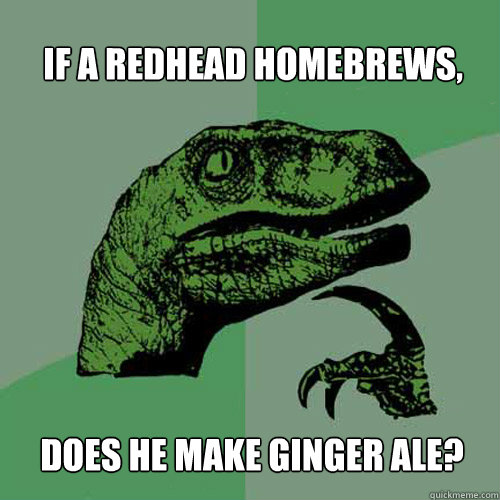 If a redhead homebrews, does he make ginger ale?  Philosoraptor