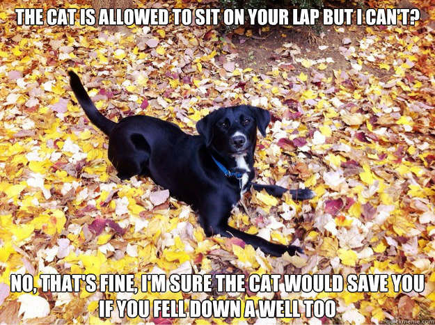 The cat is allowed to sit on your lap but I can't? No, that's fine, I'm sure the cat would save you if you fell down a well too  Guilt Giving Good Dog