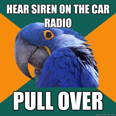 Hear siren on the car radio Pull over  Paranoid Parrot