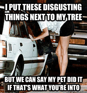 I put these disgusting things next to my tree but we can say my pet did it if that's what you're into  FB karma whore