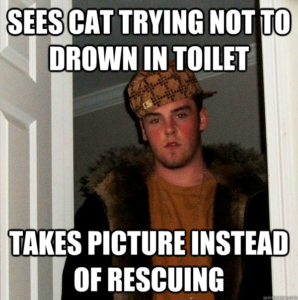 Sees cat trying not to drown in toilet takes picture instead of rescuing  Scumbag Steve