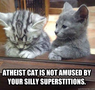 Atheist cat is not amused by your silly superstitions.  