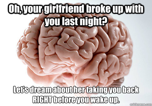 Oh, your girlfriend broke up with you last night? Let's dream about her taking you back RIGHT before you wake up.  Scumbag Brain