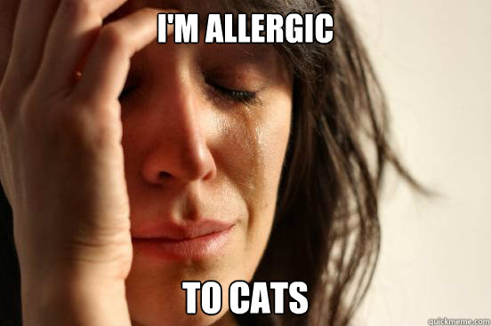 I'm allergic To cats  First World Problems
