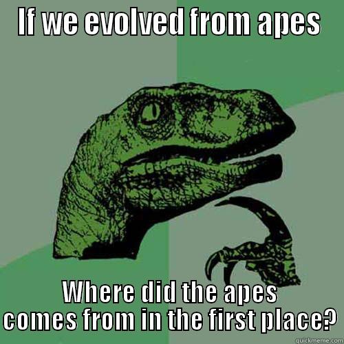 IF WE EVOLVED FROM APES WHERE DID THE APES COMES FROM IN THE FIRST PLACE? Philosoraptor