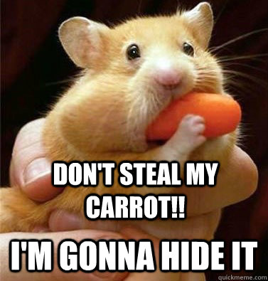 Don't Steal My Carrot!! I'm Gonna Hide It  Lil Hamster