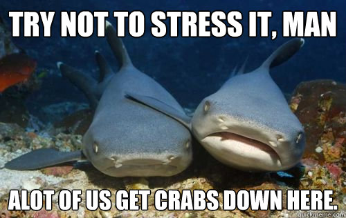Try not to stress it, man alot of us get crabs down here.  Compassionate Shark Friend