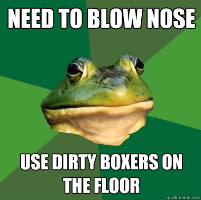 Need to blow nose use dirty boxers on the floor  Foul Bachelor Frog
