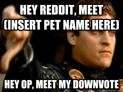 Hey Reddit, meet (insert pet name here) hey op, meet my downvote  Downvoting Roman