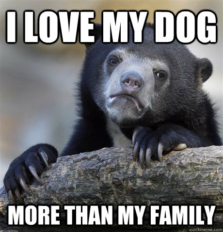 i love my dog more than my family  Confession Bear