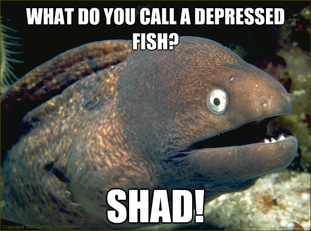 What do you call a depressed fish? SHAD!  Bad Joke Eel