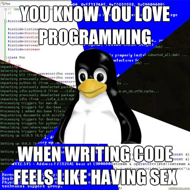 You know you love programming when writing code feels like having sex - You know you love programming when writing code feels like having sex  Computer Science Penguin