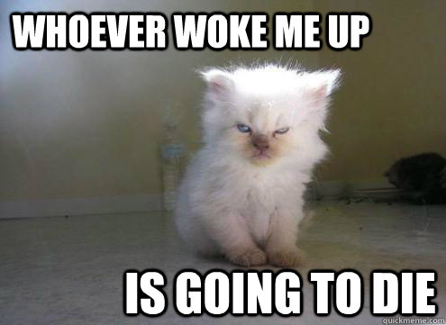Whoever woke me up  is going to die  - Whoever woke me up  is going to die   How I feel in the morning...