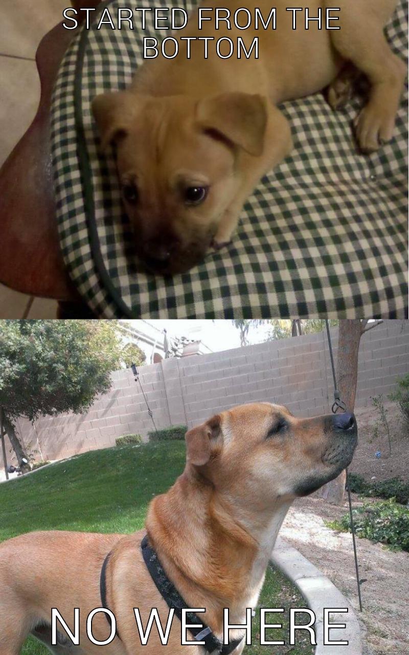 2 year transformation - STARTED FROM THE BOTTOM NO WE HERE Misc